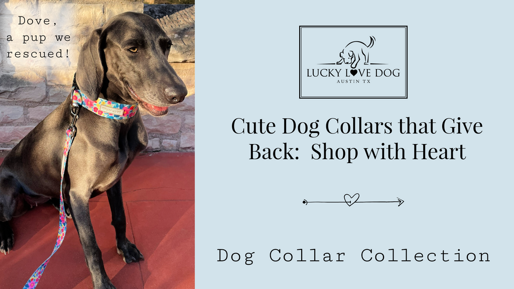 Cute Dog Collars