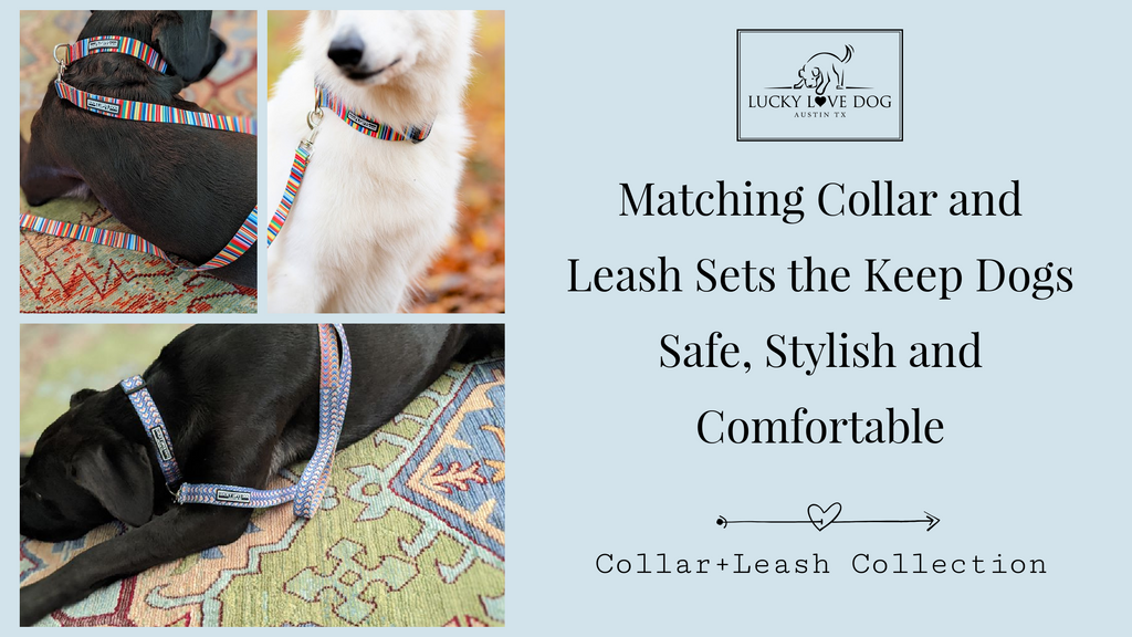 Matching Collar and Leash Sets 