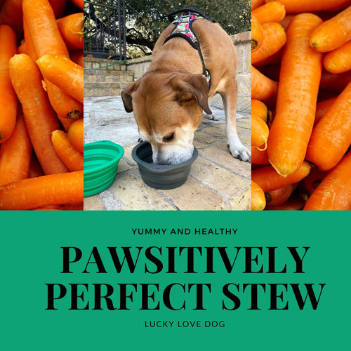 Pawsitively Perfect Stew for Lucky Love Dogs!