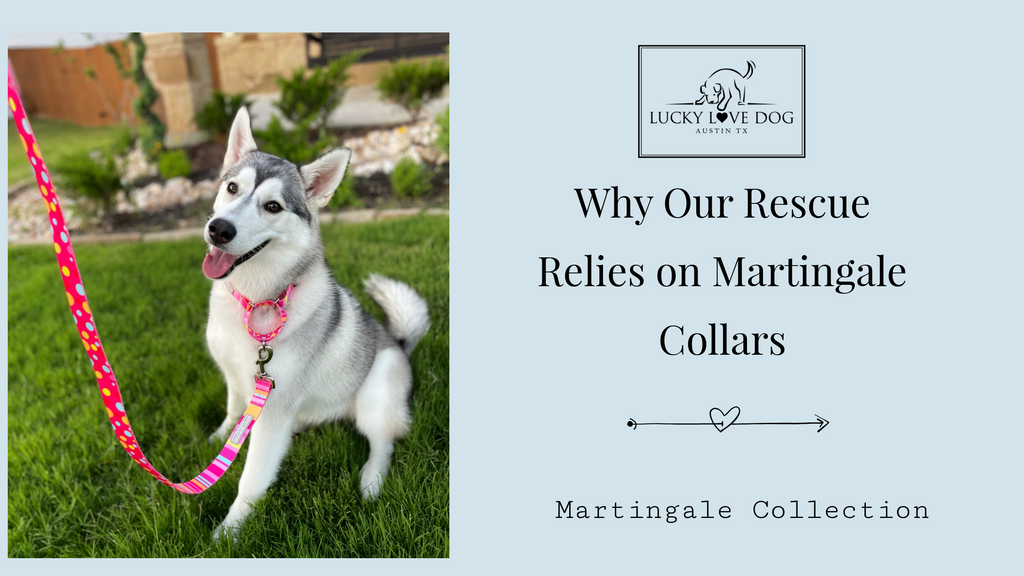 Rescue Relies on Martingale Collars