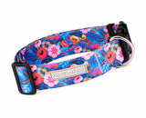Wide Collar Bundle - Wholesale