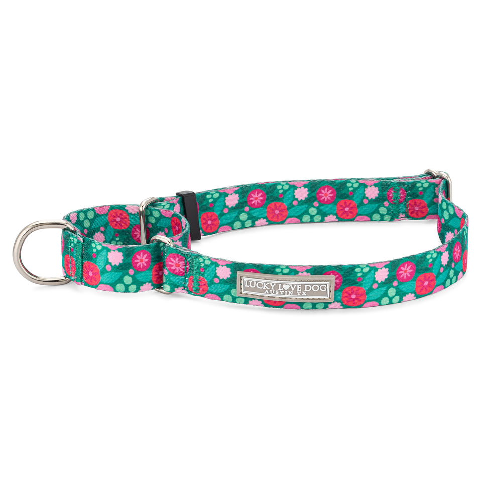 Penny Martingale