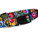 Colorful floral Lucky Love Dog collar with black buckle.
