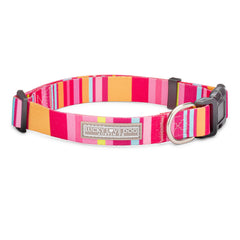 Molly Dog Collar