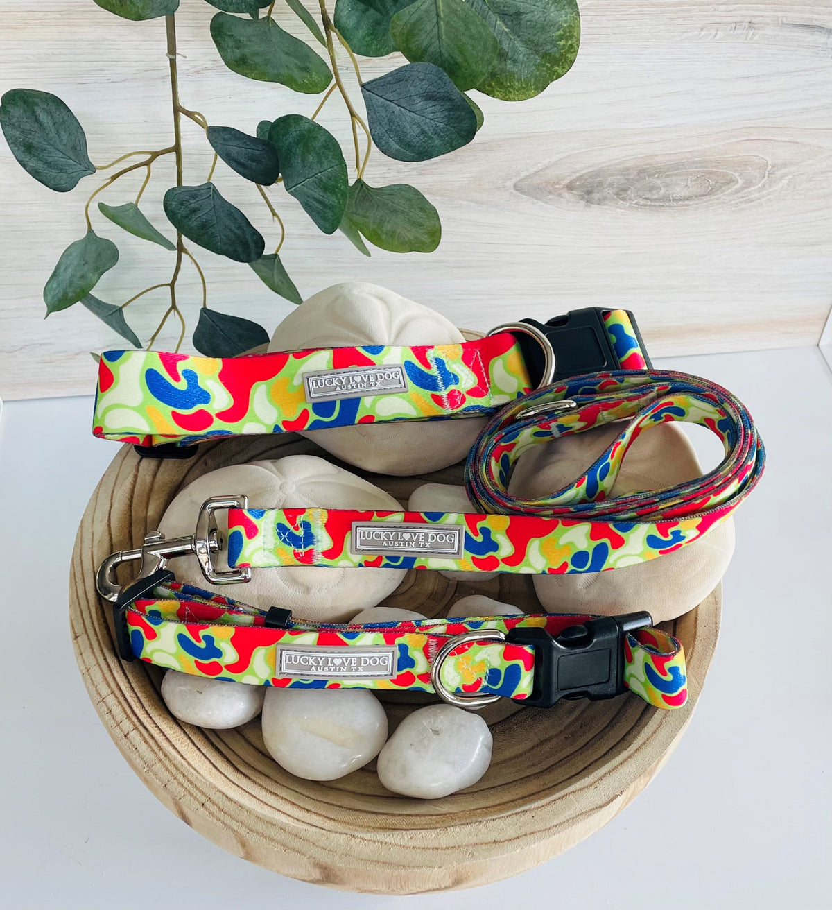 Bright, multicolor Lucky Love Dog collar and leash