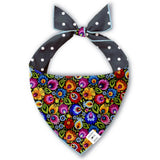 dog bandana blackbird