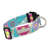 Wide Collar Bundle - Wholesale