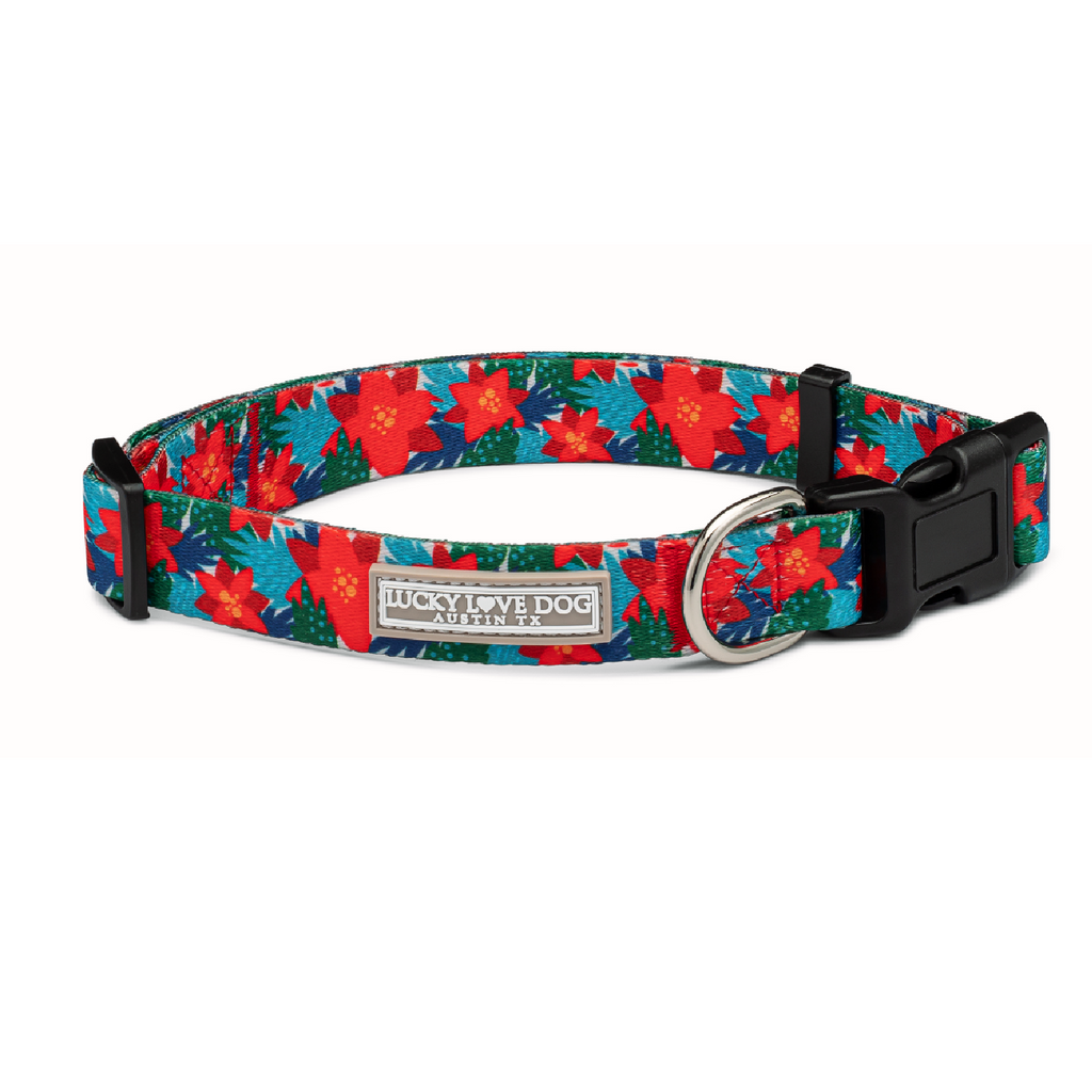 red green blue winter poinsettia dog collar