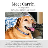 Carriebelle Dog Collar