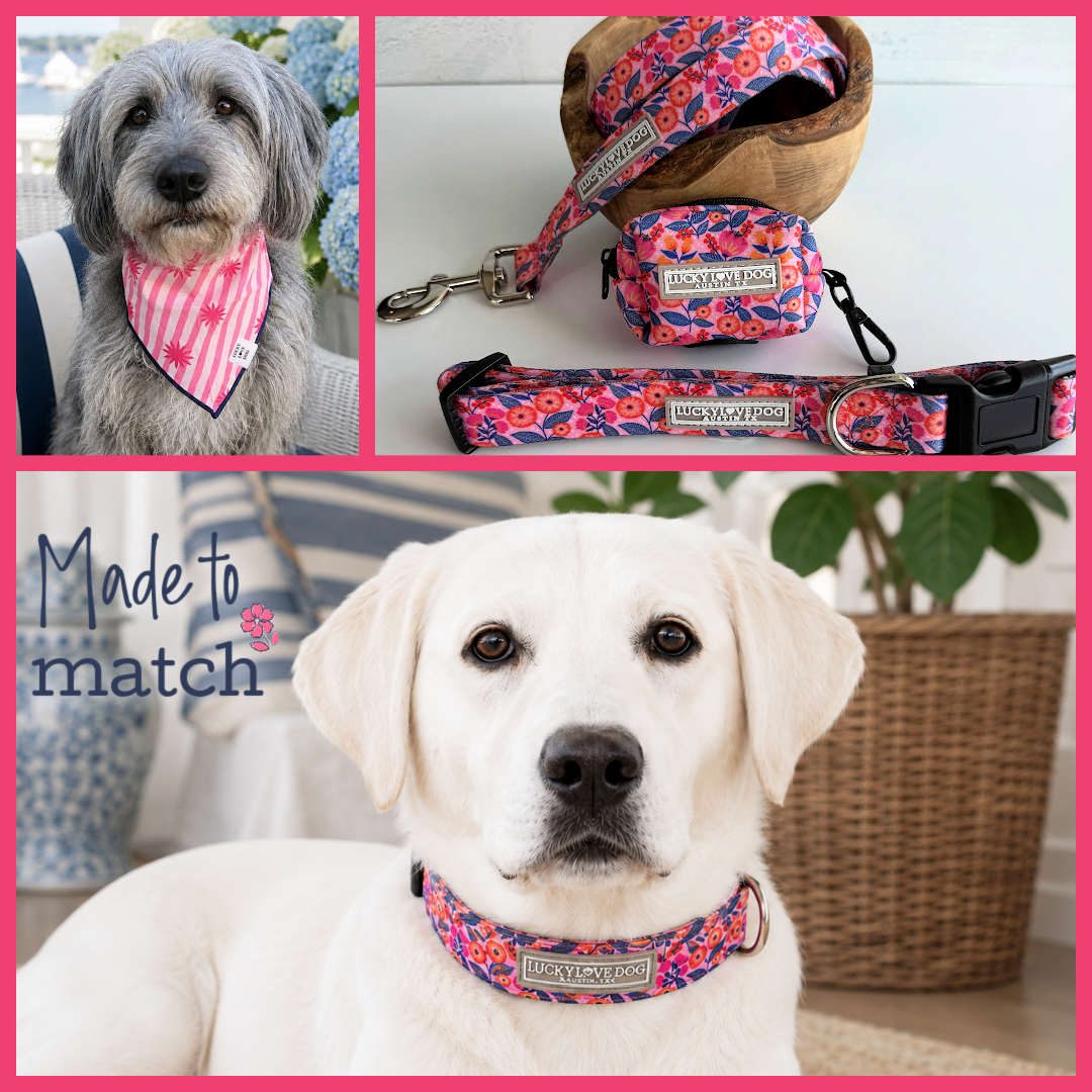 Rosie Complete Walking Set