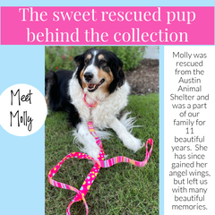 Molly Dog Collar