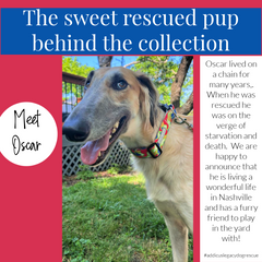 Rescue story graphic featuring Oscar, a long-haired dog wearing a colorful Lucky Love Dog collar.
