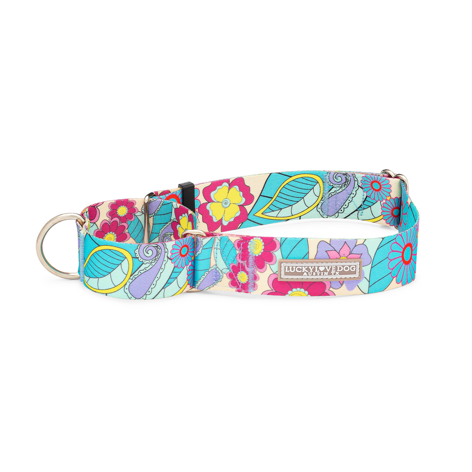 Martingale dog collar with a bright, retro floral and paisley design.