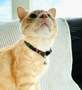 A close-up of an orange tabby cat wearing a colorful patterned cat collar with a silver bell, sitting on a white textured blanket.