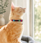 Cat Collar - Nacho