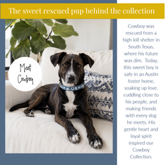 Dog named Cowboy sitting on a couch with text about his rescue and current life.