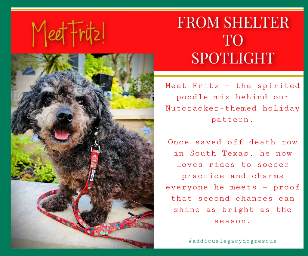 Dog named Fritz with a red leash, surrounded by text about his journey from shelter to spotlight.