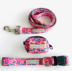 Rosie Complete Walking Set