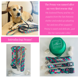 Penny Martingale