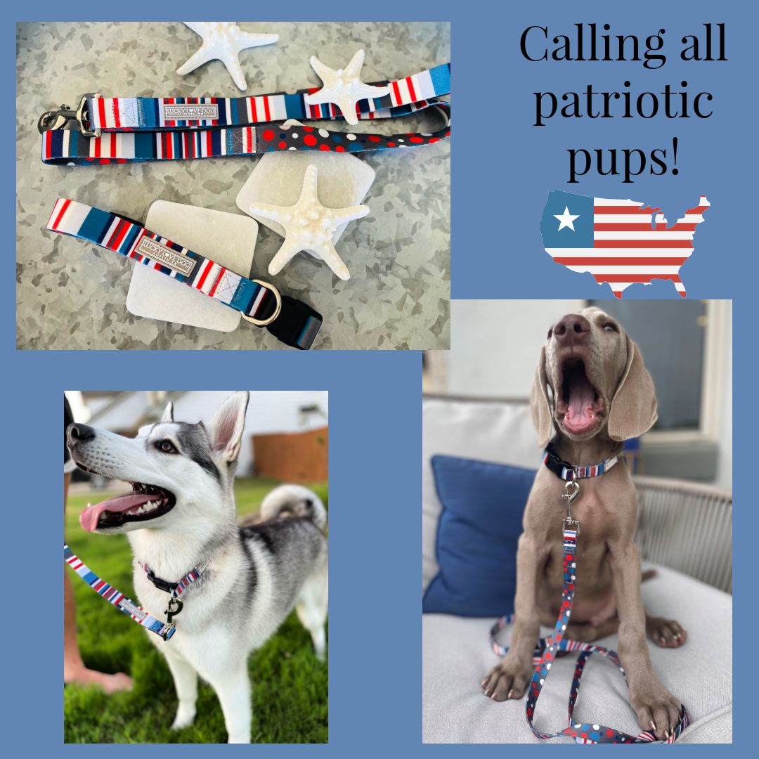 Linus Dog Collar