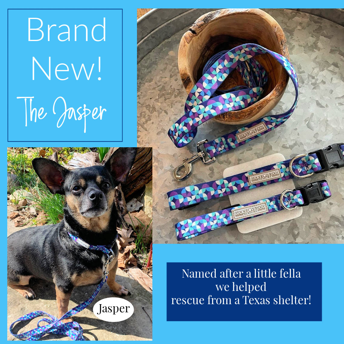 dog wearing the Jasper geometric collar and matching Lucky Love Dog collar and leash set, promoted as a new rescue-inspired design.