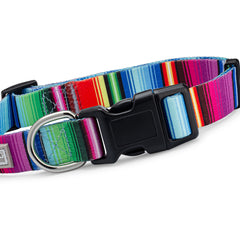 Nacho Dog Collar