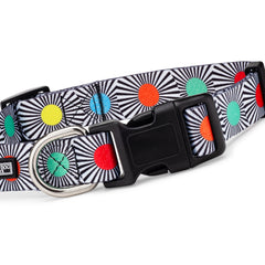 Black and white striped dog collar with colorful polka dots and a black buckle.