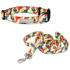 blue yellow red camo dog collar and leash