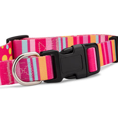 Molly Dog Collar