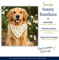 Benefits of Sunny dog bandana