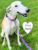 pink and blue floral collar leash combo