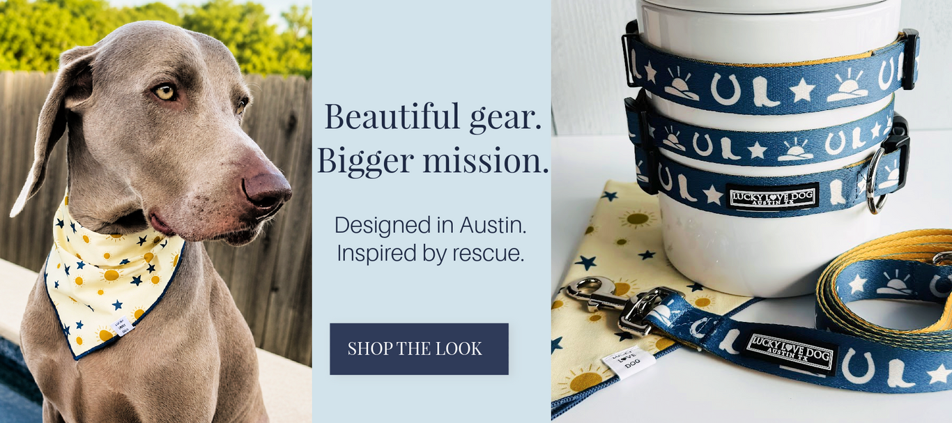 A dog bandana and matching dog collars from the brand Happy Paws. The left side shows a gray Weimaraner wearing a yellow bandana with blue stars.