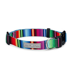 Nacho Dog Collar