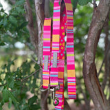 Molly collar and leash set