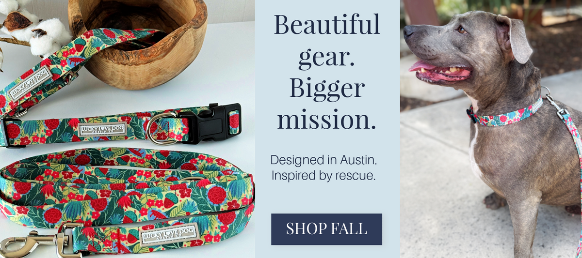 banner ginny fall collar leash
