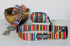 Colorful striped dog leash, collar, and waste bag holder by Lucky Love Dog Austin, featuring vibrant stripes and durable hardware.