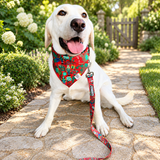 reversible nutcracker bandana for dogs