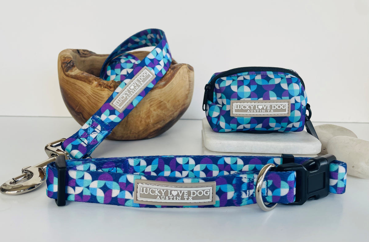 Blue geometric dog collar, leash, and matching waste bag holder