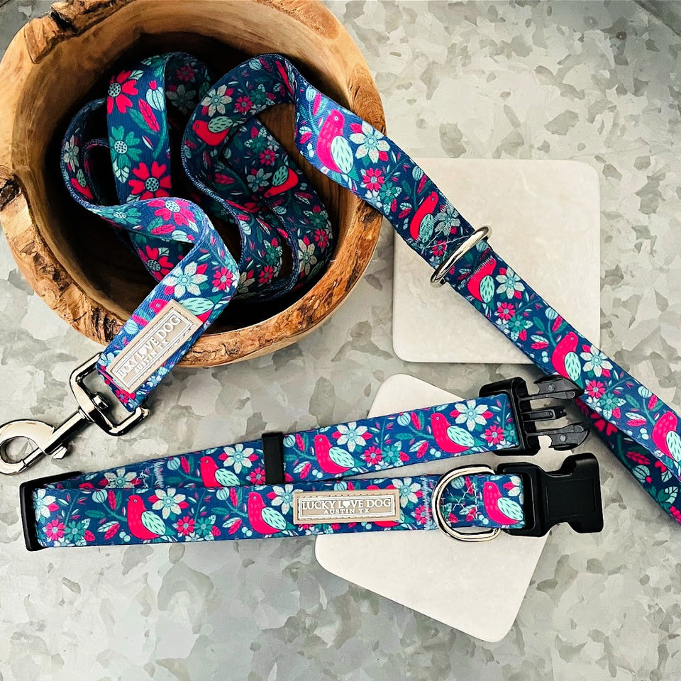 whimsical bird floral dog collar and leash display