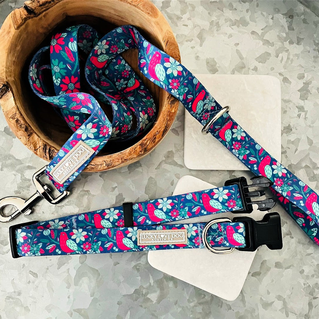 whimsical bird floral dog collar and leash display