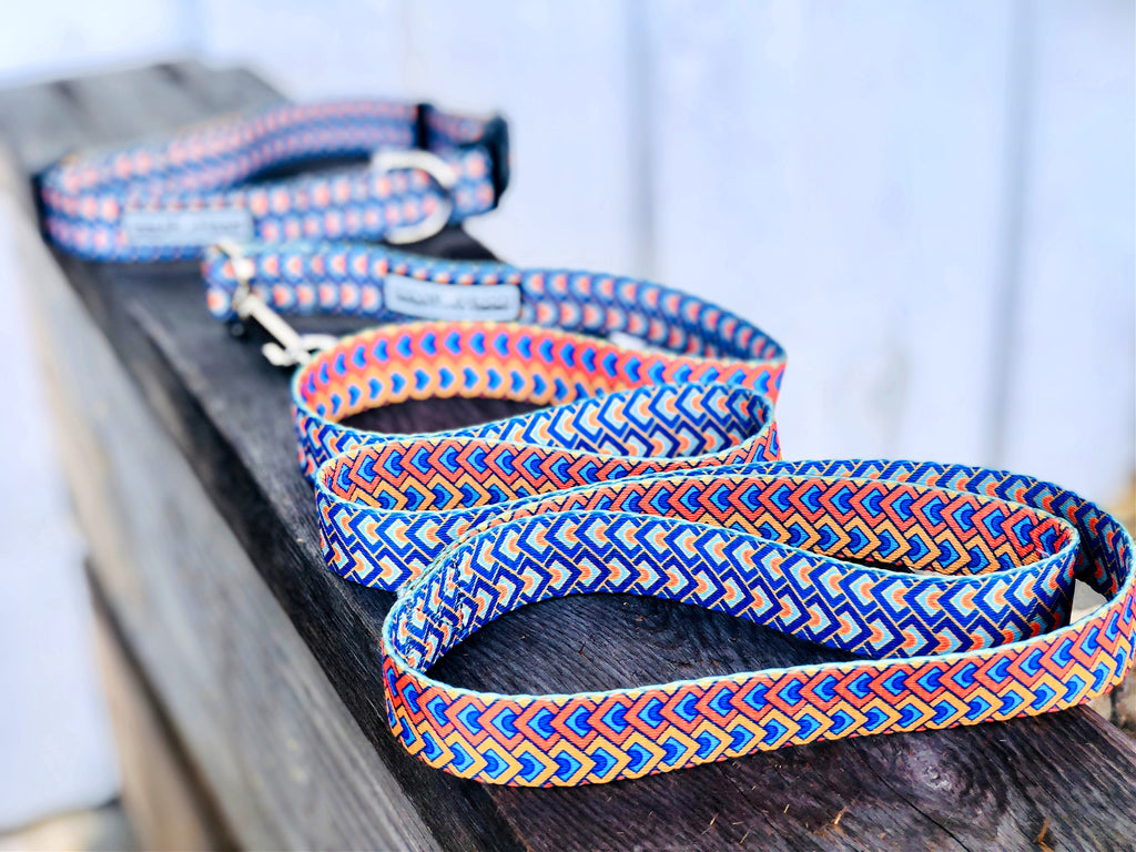 geometric dog collar and dog leash