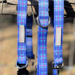 blue violet plaid dog collar and dog leash hanging on fence