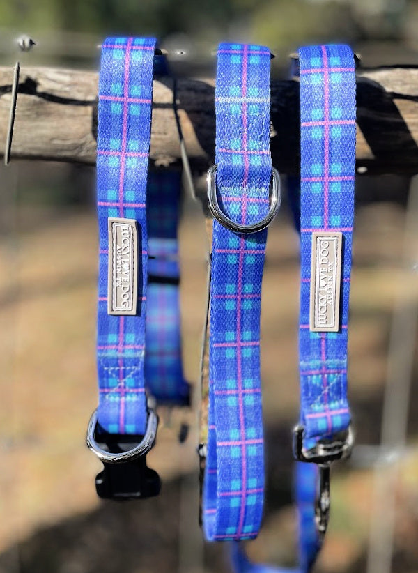 blue violet plaid dog collar and dog leash hanging on fence