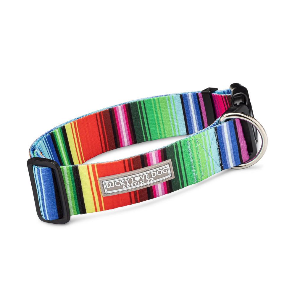 vivid fiesta striped wide dog collar front