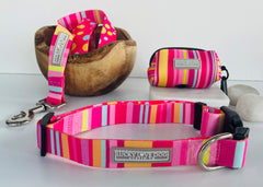 Molly Dog Collar
