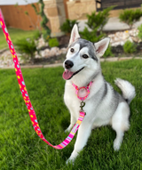 Martingale Collar Bundle - Wholesale