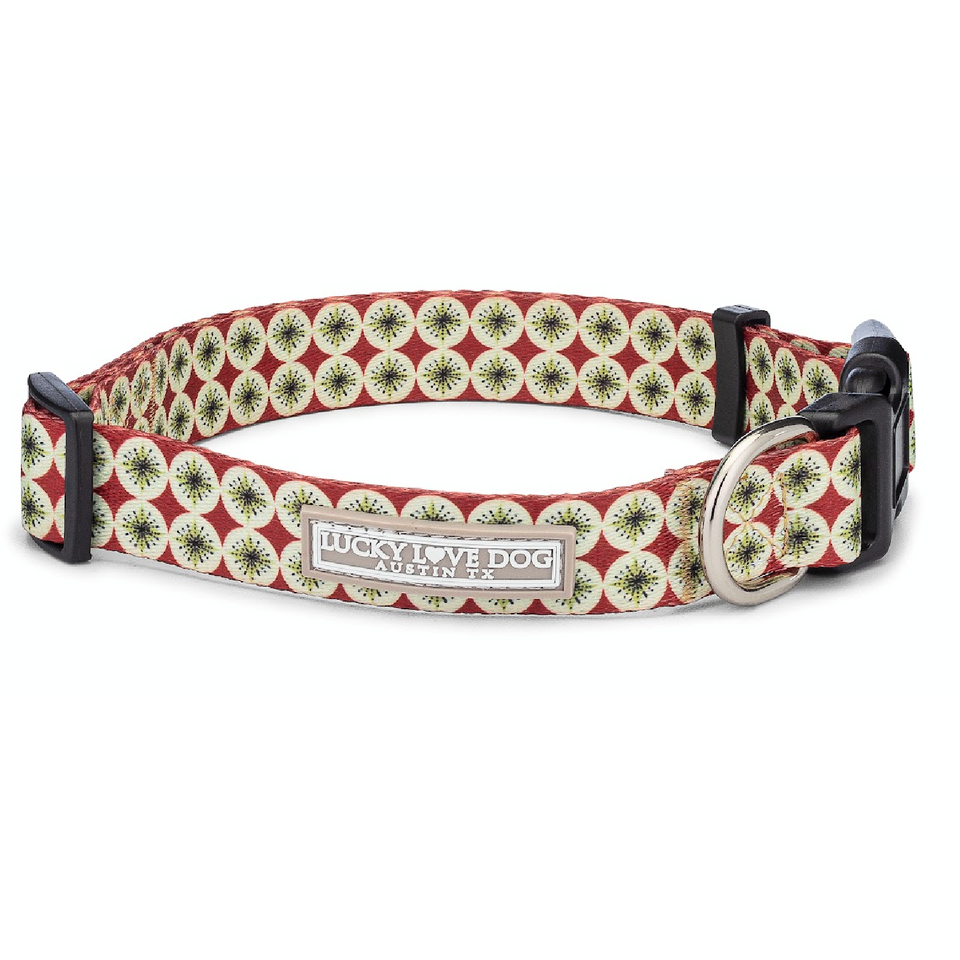 Red and white patterned Lucky Love Dog collar with metal D-ring.