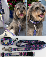 primrose bag leash collar set