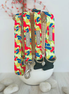 Bright multicolor dog leash and collars with abstract camo-style pattern