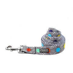 Colorful polka-dot dog leash with black-and-white striped pattern.